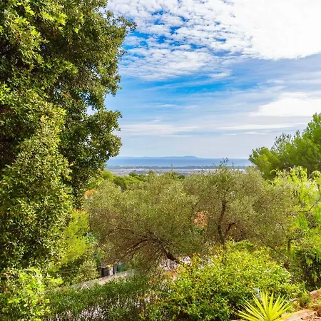 Mont Des Oiseaux Piscine Vue Panoramique Mer Grande Terrasse Hyeres